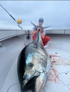 Tuna Fishing, Heavy Action